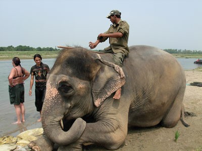 Chitwan National Park - Elephant Jungle Safari